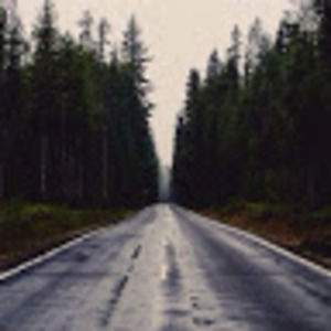 Meet your Posher, Wesley